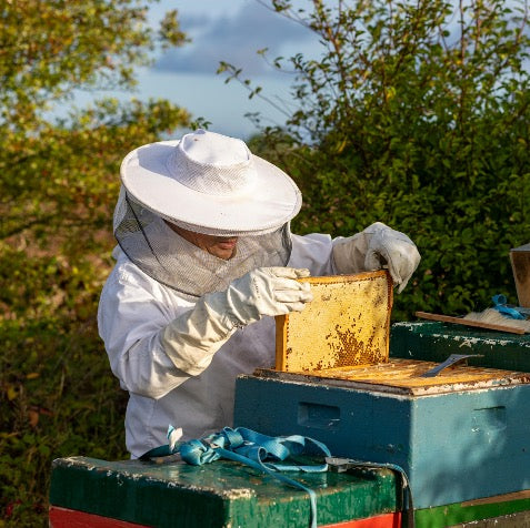 Honey Laundering: Unmasking the Sticky Truth!